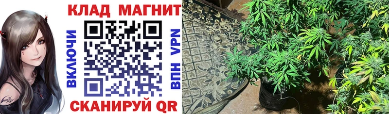 Купить наркотик Шуя Бутират  АМФЕТАМИН  КОКАИН  Гашиш  Меф  A PVP  Марихуана 