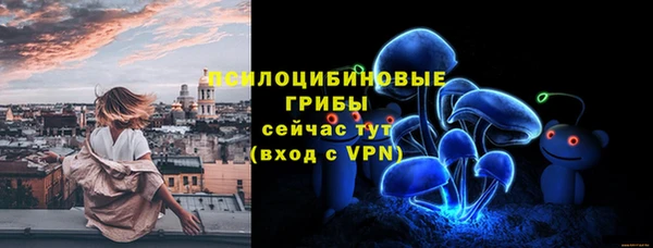 твердый Алексеевка