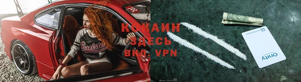 индика Алексин