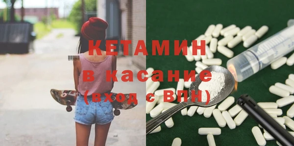 индика Алексин