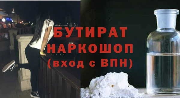 индика Алексин