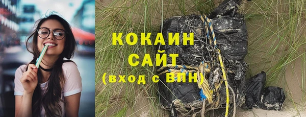 a pvp Алзамай