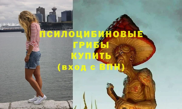 твердый Алексеевка