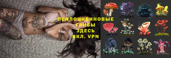 индика Алексин
