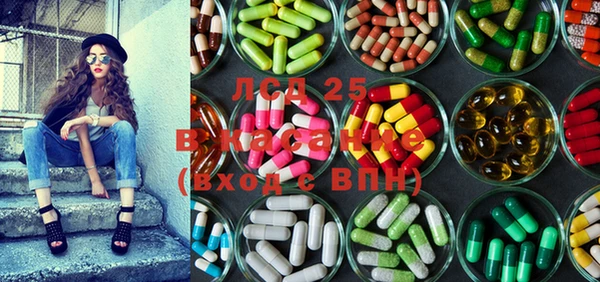 индика Алексин