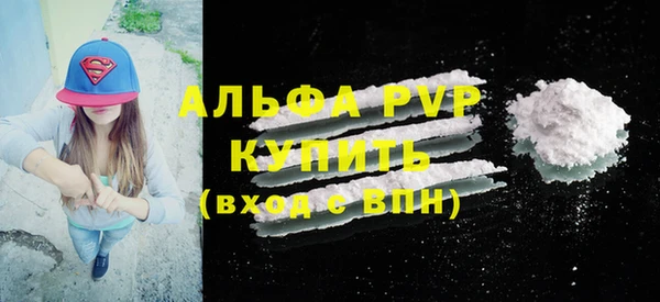 индика Алексин