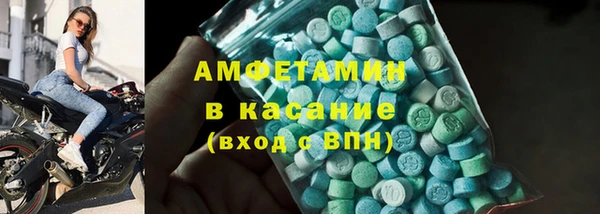 индика Алексин