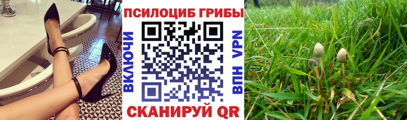 Галлюциногенные грибы Cubensis  продажа наркотиков  Шуя 